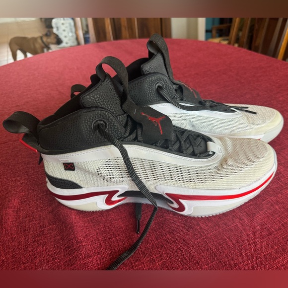 men's air jordan xxxvi